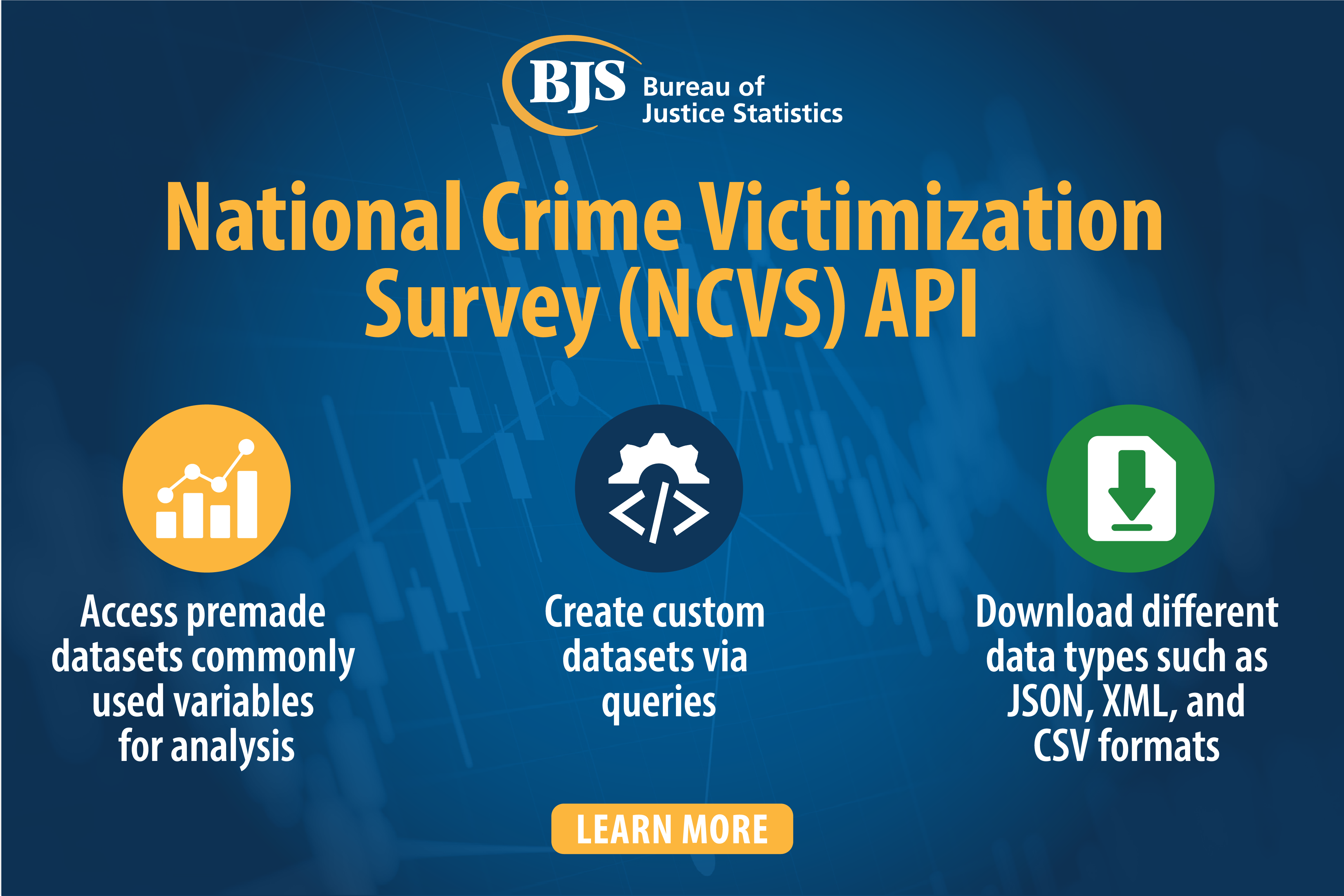 National Crime Victimization Survey (NCVS) API image.  Access premade datasets, create customs datasets, and download different data types.