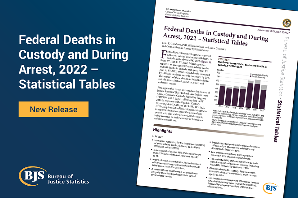 Federal Deaths in Custody and During Arrest, 2022 - Statistical Tables Image card of the report