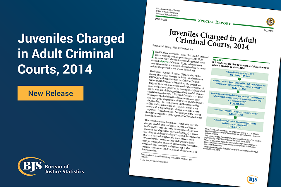 Image card for Juvenile Charged in Adult Criminal Courts, 2014
