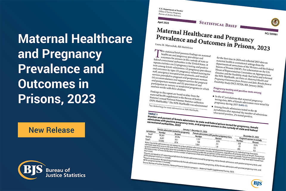 Maternal Healthcare and Pregnancy Prevalence and Outcomes in Prisons, 2023 image card