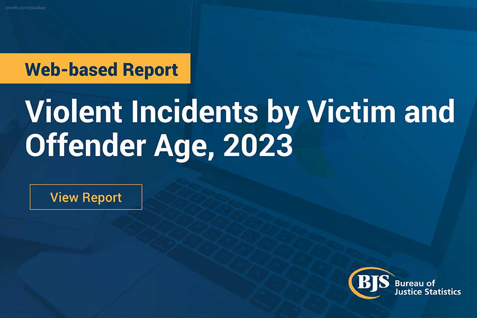 Violent Incidents by Victim and Offender Age, 2023 publication card