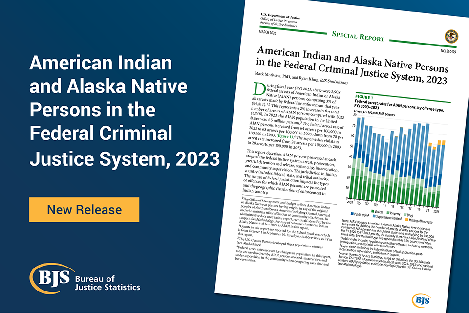 American Indian and Alaska Native Persons in the Federal Criminal Justice System, 2023 publication card