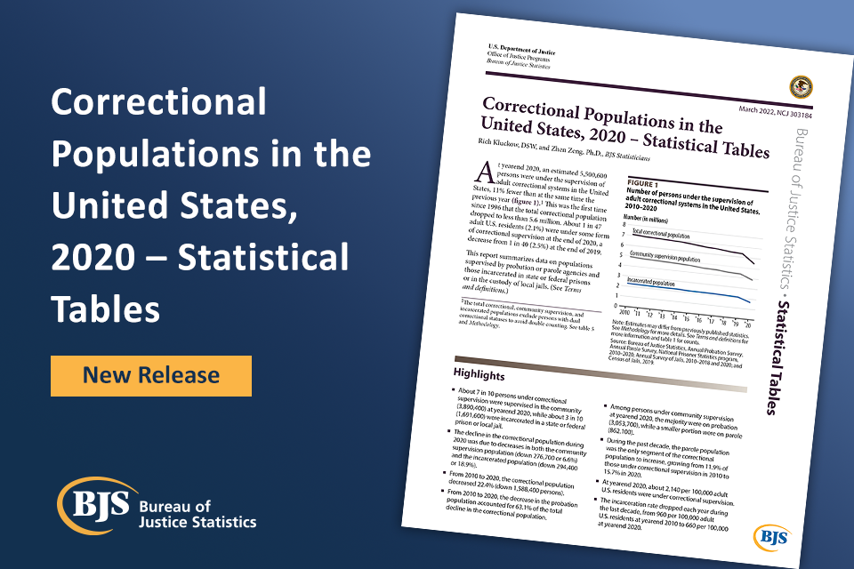 Cover image of the Correctional Populations in the United States, 2020 - Statistical Tables