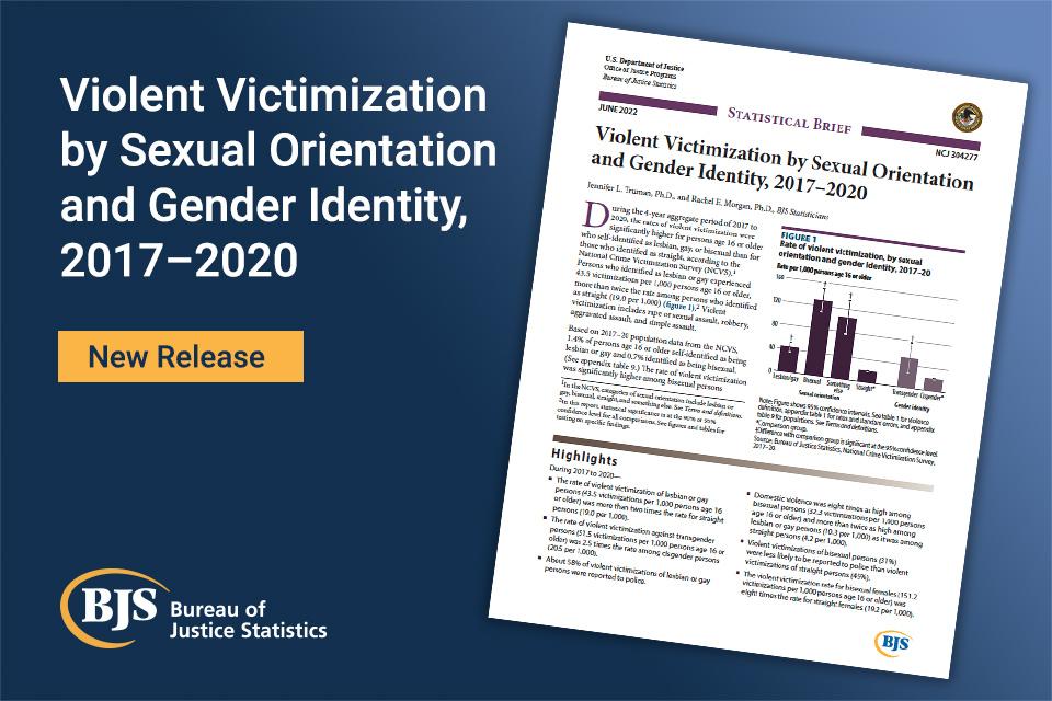 Cover image of the Violent Victimization by Sexual Orientation and Gender Identity, 2017-2020 report
