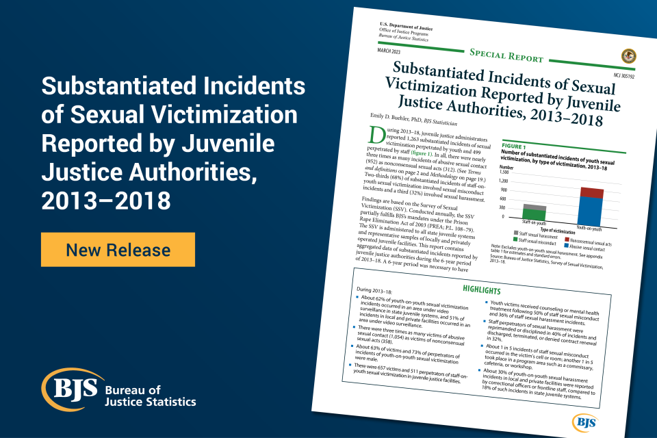 Cover image for the report, Substantiated Incidents of Sexual Victimization Reported by Juvenile Justice Authorities, 2013–2018