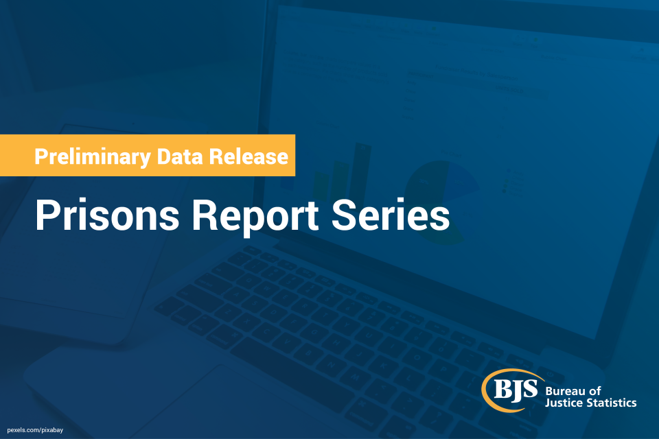 Generic image of new preliminary data report series, Prisons